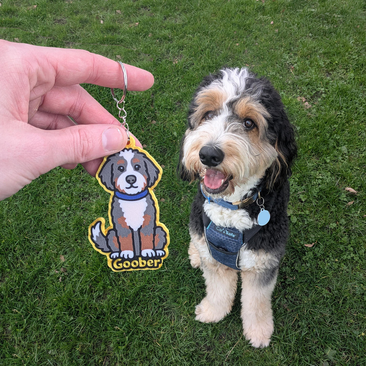 Custom Pet Keychain